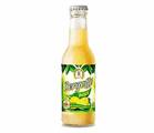 BERGOTTO JUICE 20cl (Succo al 50%)