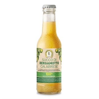 BERGOTTO SUCCO PURO 100% CL.20