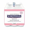 Acqua minerale naturale gassata Dorna 2L PET - Remarkt offre senza